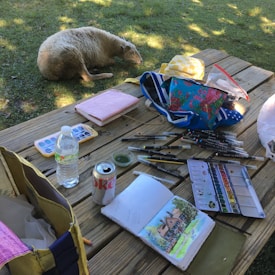 On a wooden picnic table, various art supplies are scattered, including watercolor paints, brushes, markers, a sketchbook with a painting of a house, a bottle of water, and a can of Diet Coke. A sheep is resting on the grass nearby in a shaded area.