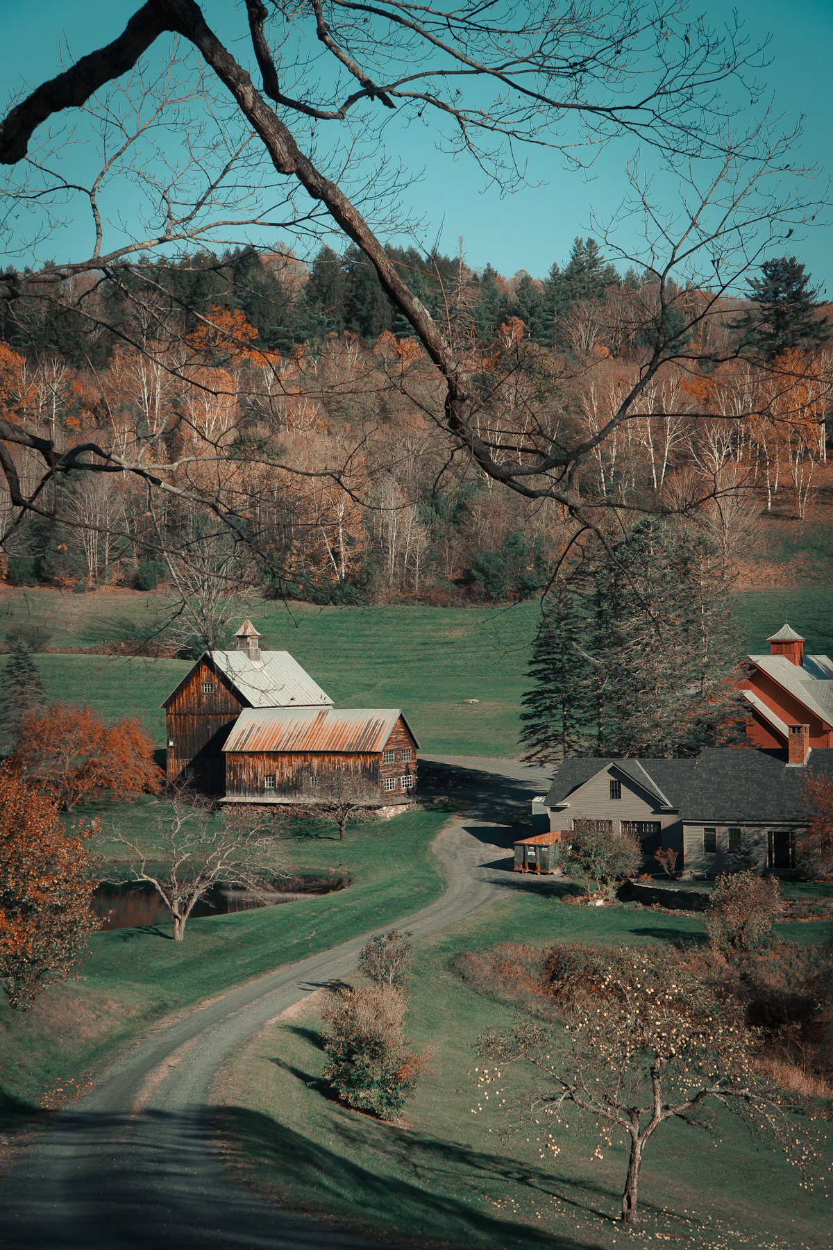 Sleepy Hollow Farm outside Woodstock, Vermont, in autumn, with a barn and farmhouse beside a gravel drive