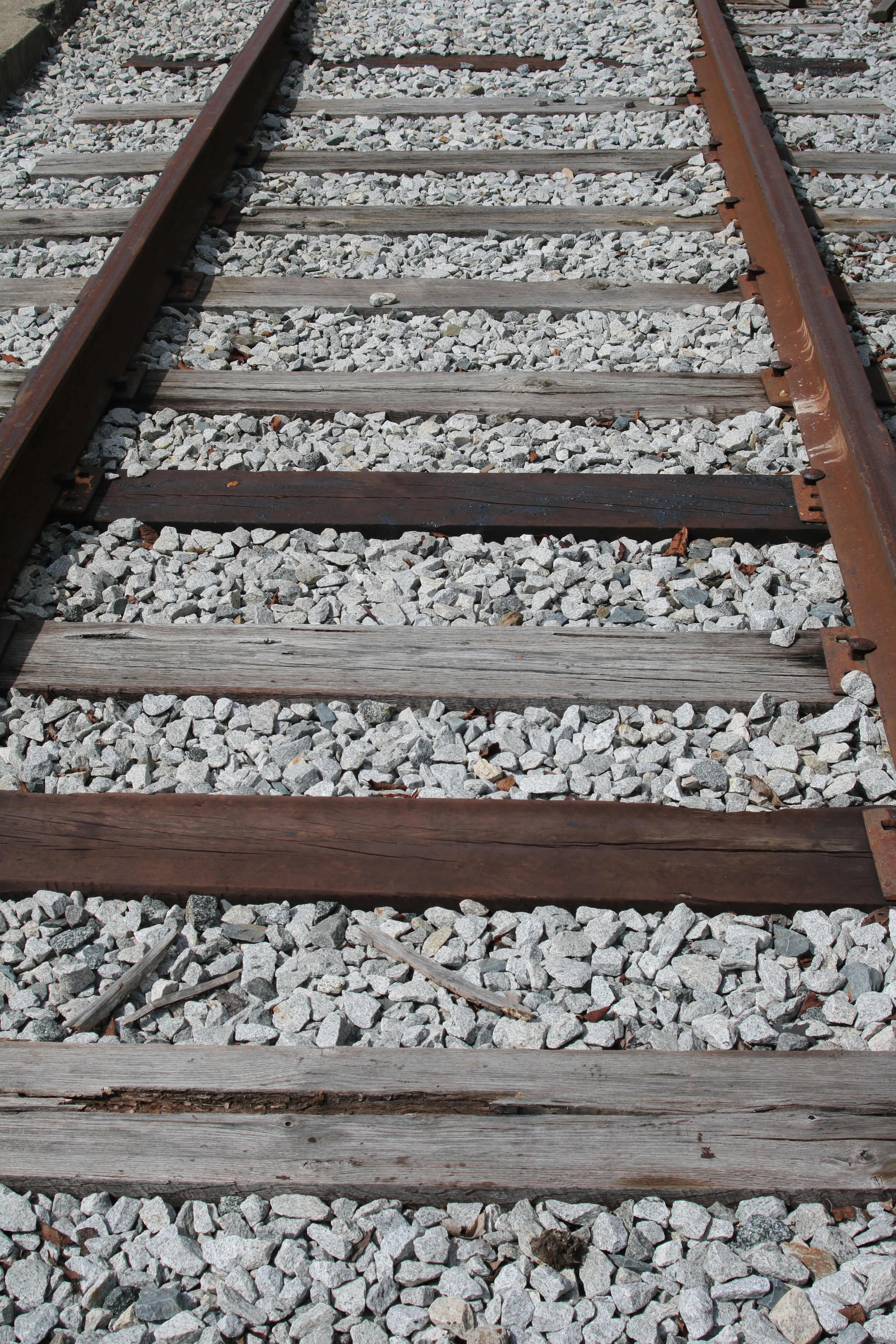 Photo by free_indeed_john8_36