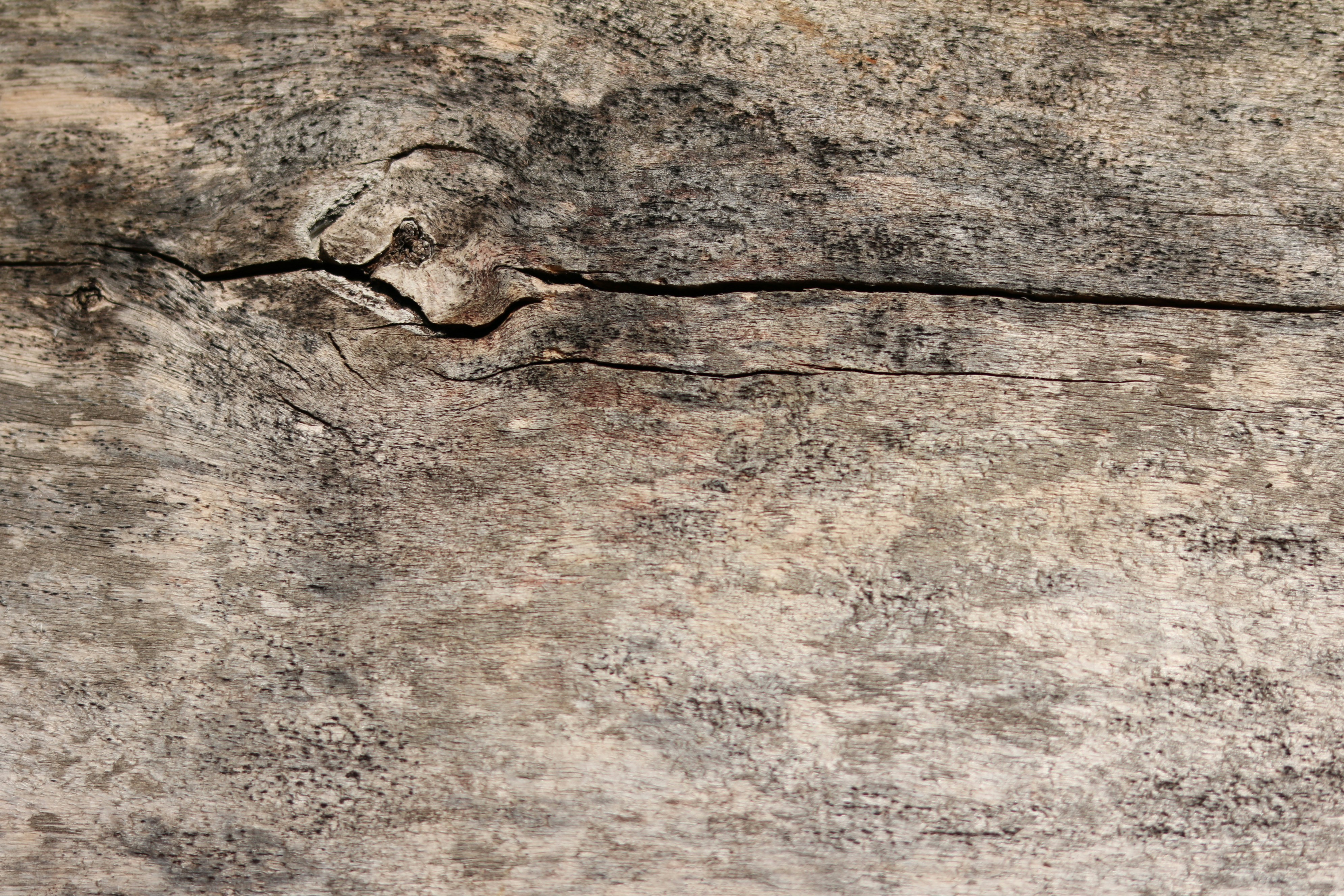 Photo by free_indeed_john8_36