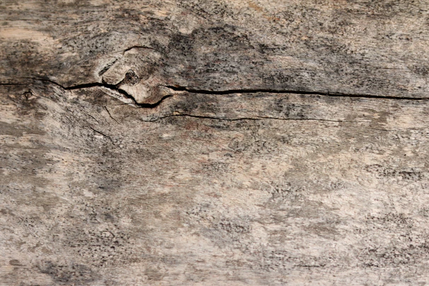 Close-up shot of intricate textures on a weathered wooden surface highlighting natural patterns.