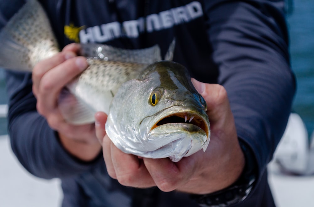 a close up of a person holding a fish