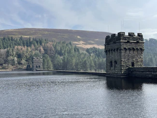 a castle sitting on top of a lake next to a forest