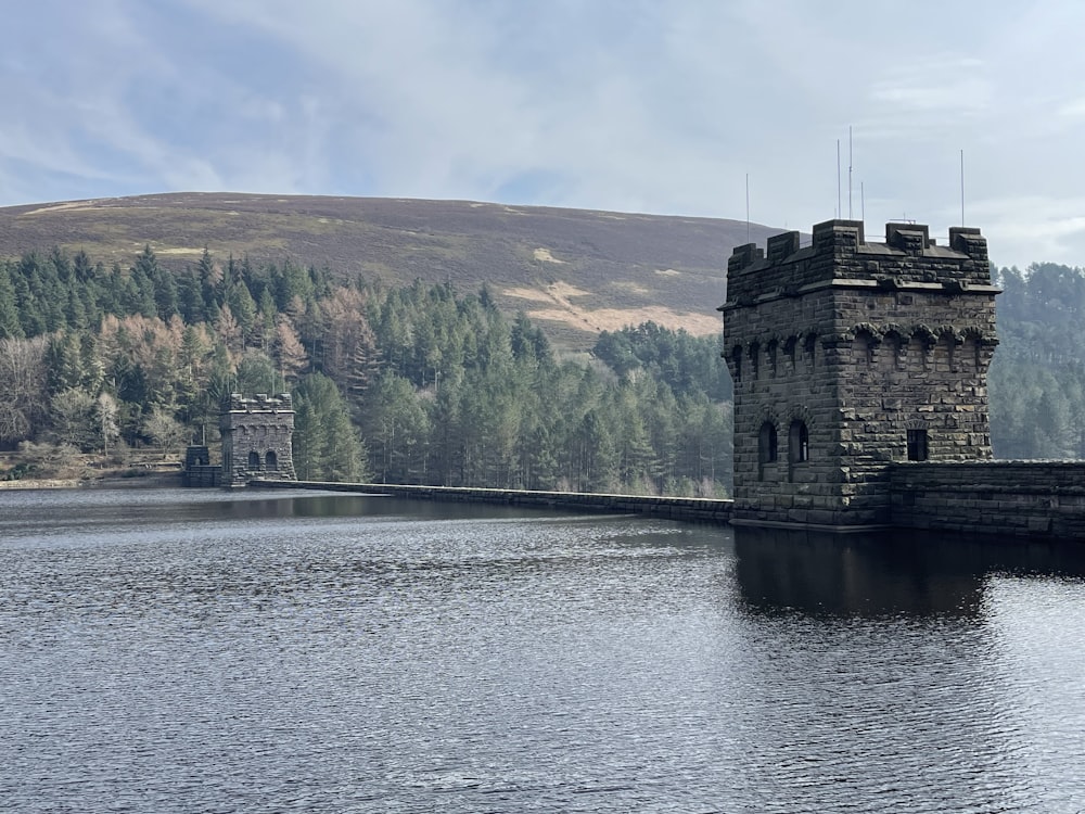 a castle sitting on top of a lake next to a forest