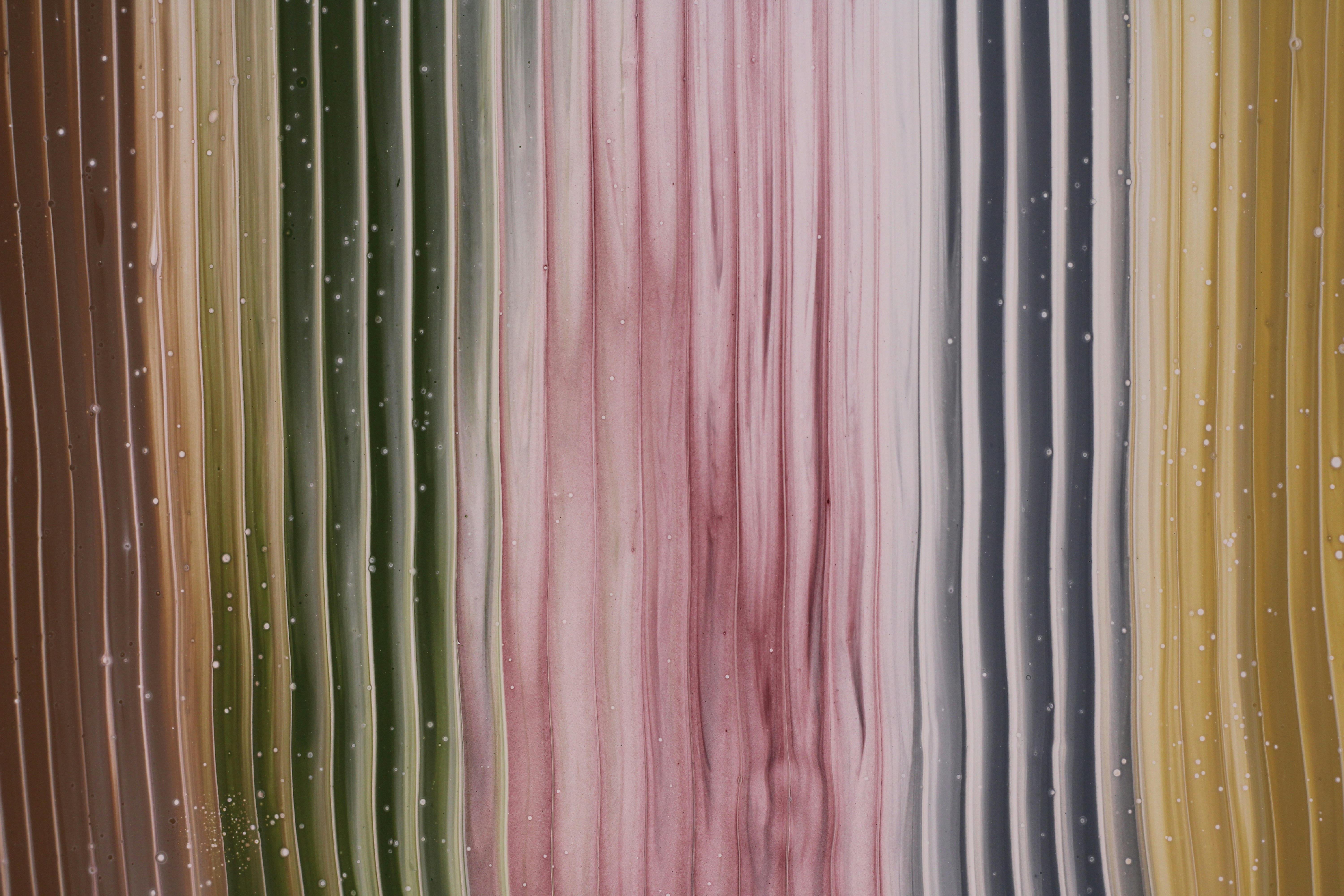 Photo by susan_wilkinson