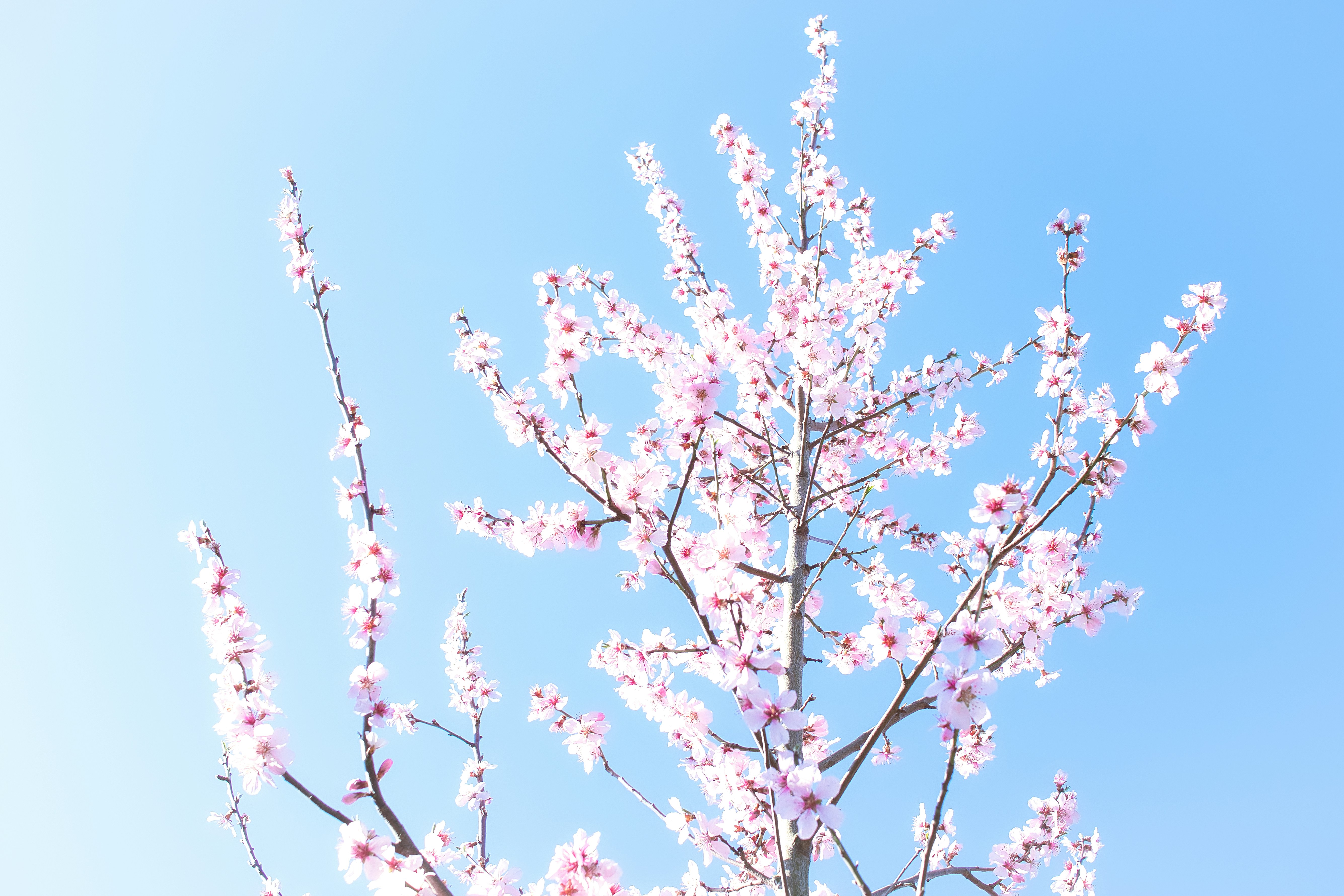 Photo by shottrotter