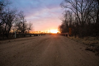 Sunset over a quiet dirt road leading through wooded land.