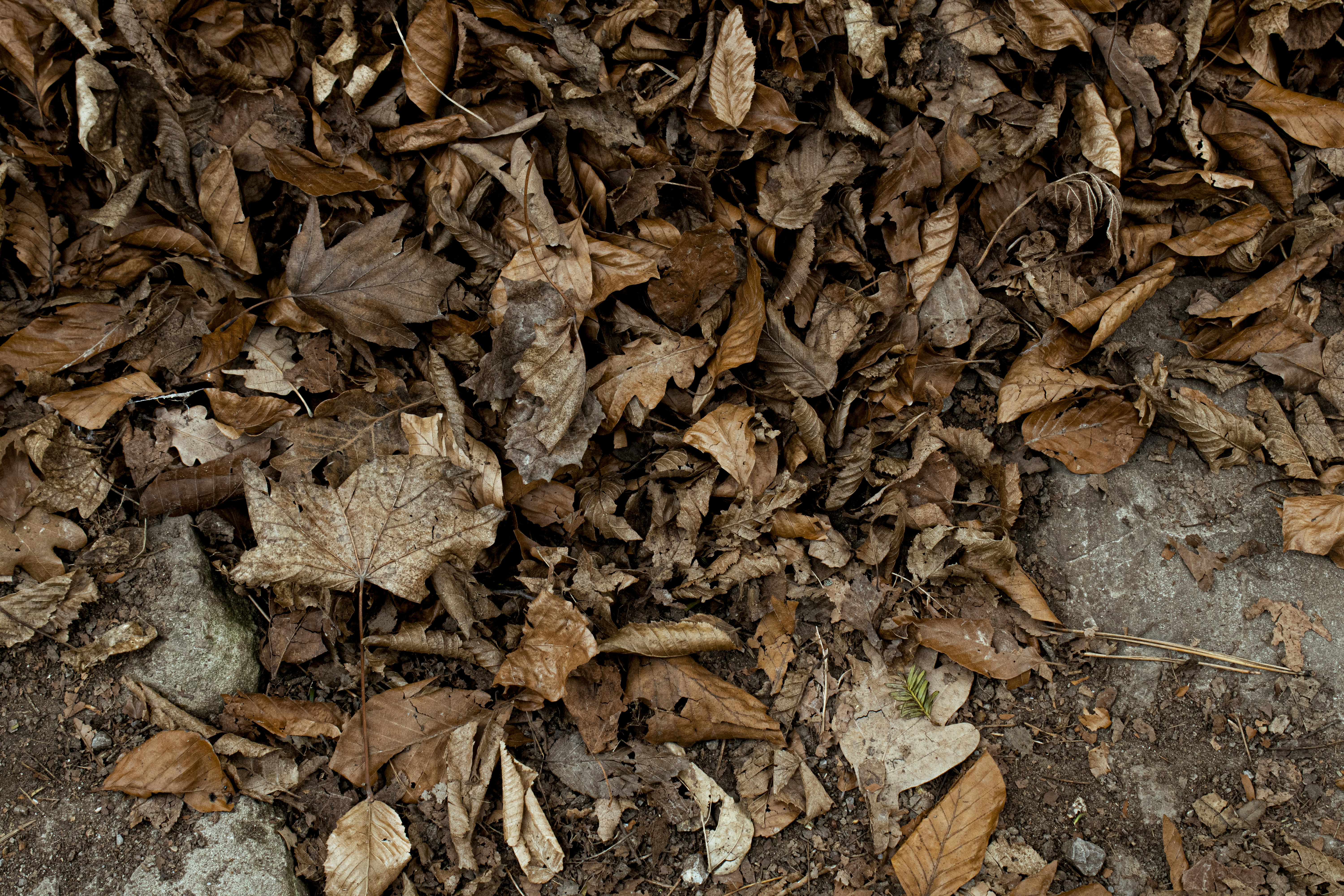 Photo by davidcultre