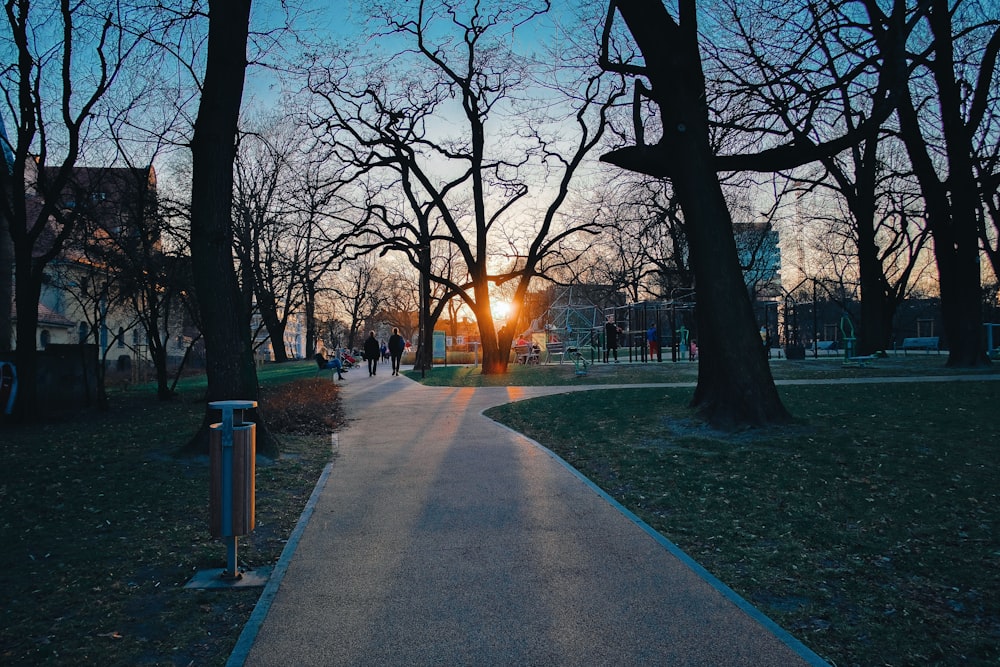 a walkway in a park with trees and buildings in the background