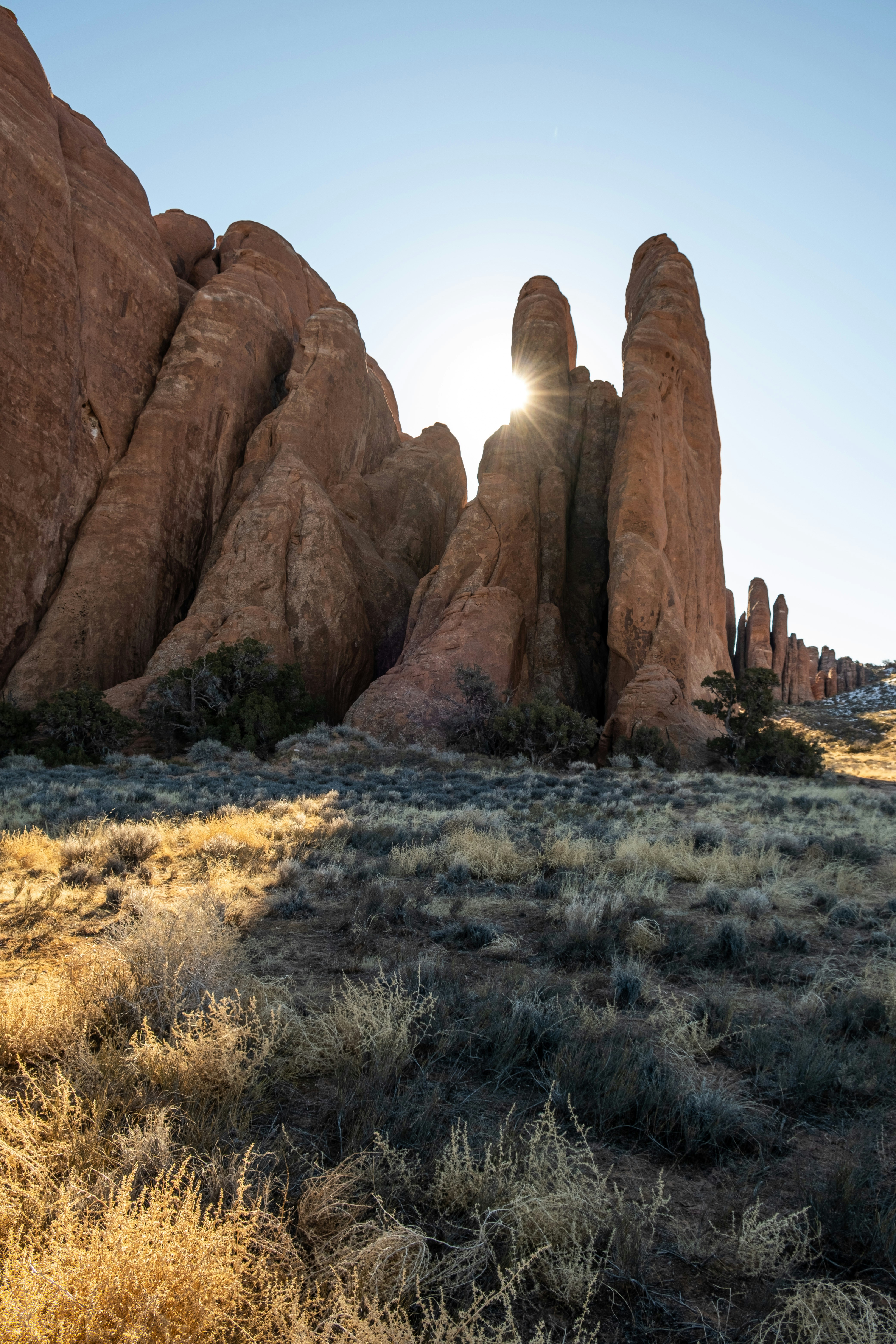 Photo by samsheppardphoto