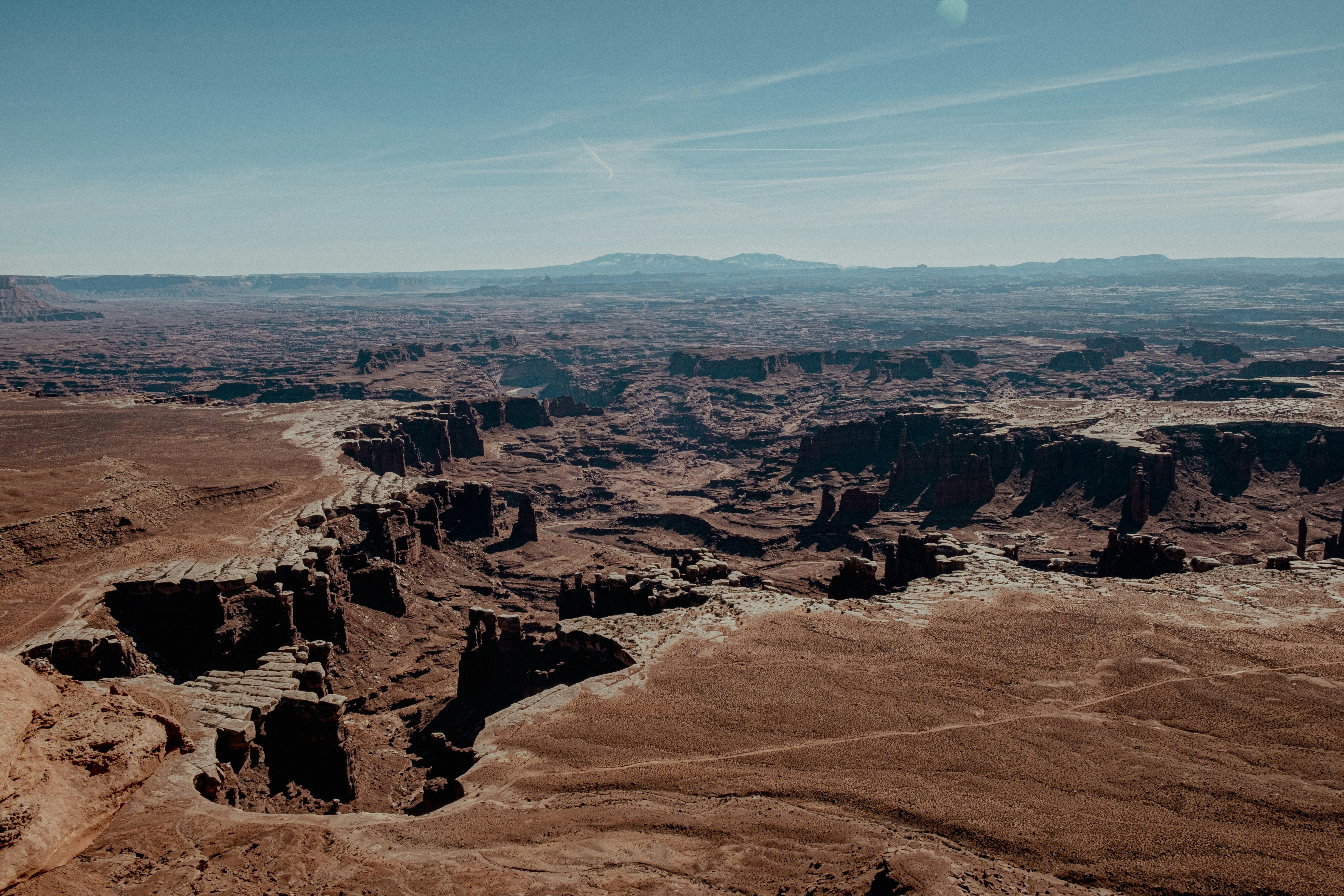 Photo by samsheppardphoto