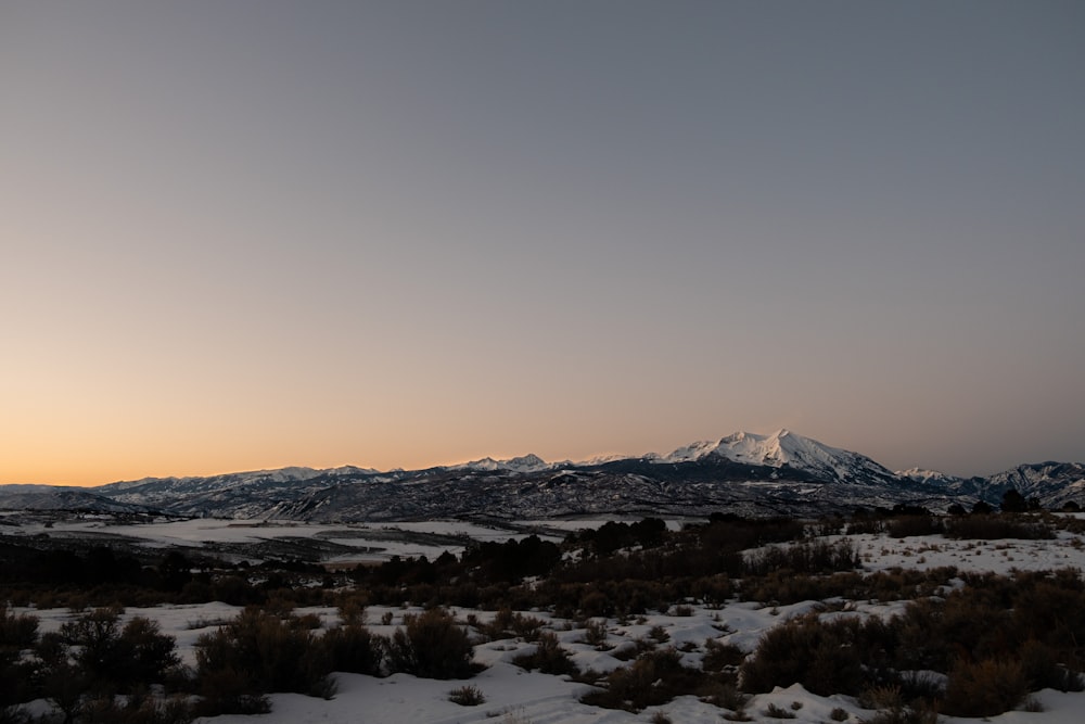 a snow covered field with a mountain in the background