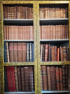A neatly arranged collection of antique books fills the shelves of a wooden bookcase. The book spines are weathered, showcasing intricate designs and faded colors, suggesting their historical value and age. The bookcase is protected by a wire mesh, and the wooden frame has a rustic, aged appearance.