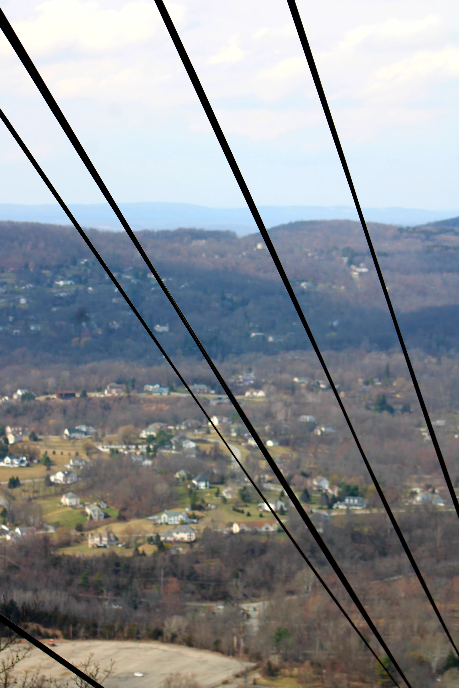 black and white bed linen