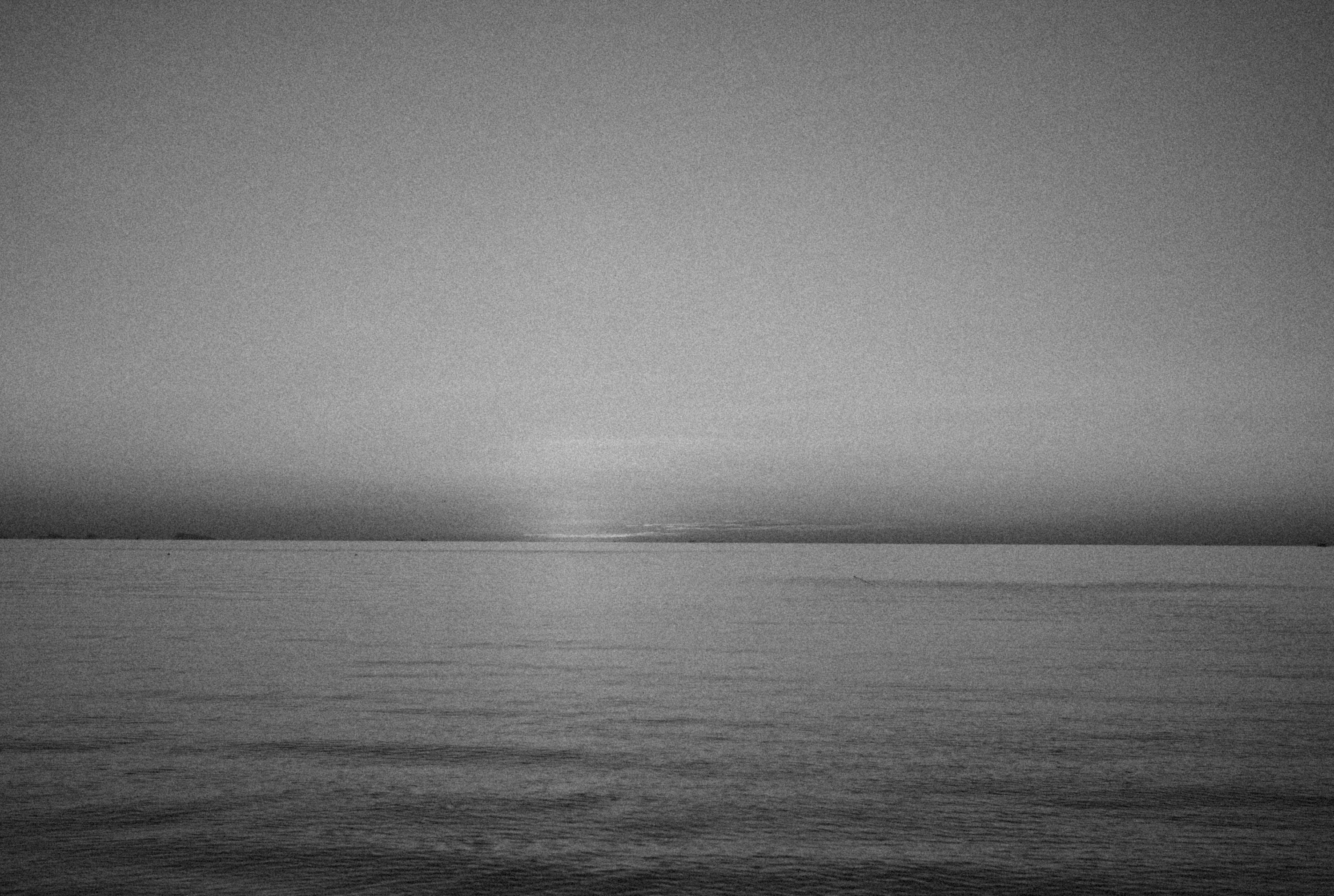 Photo by alexeydemidov