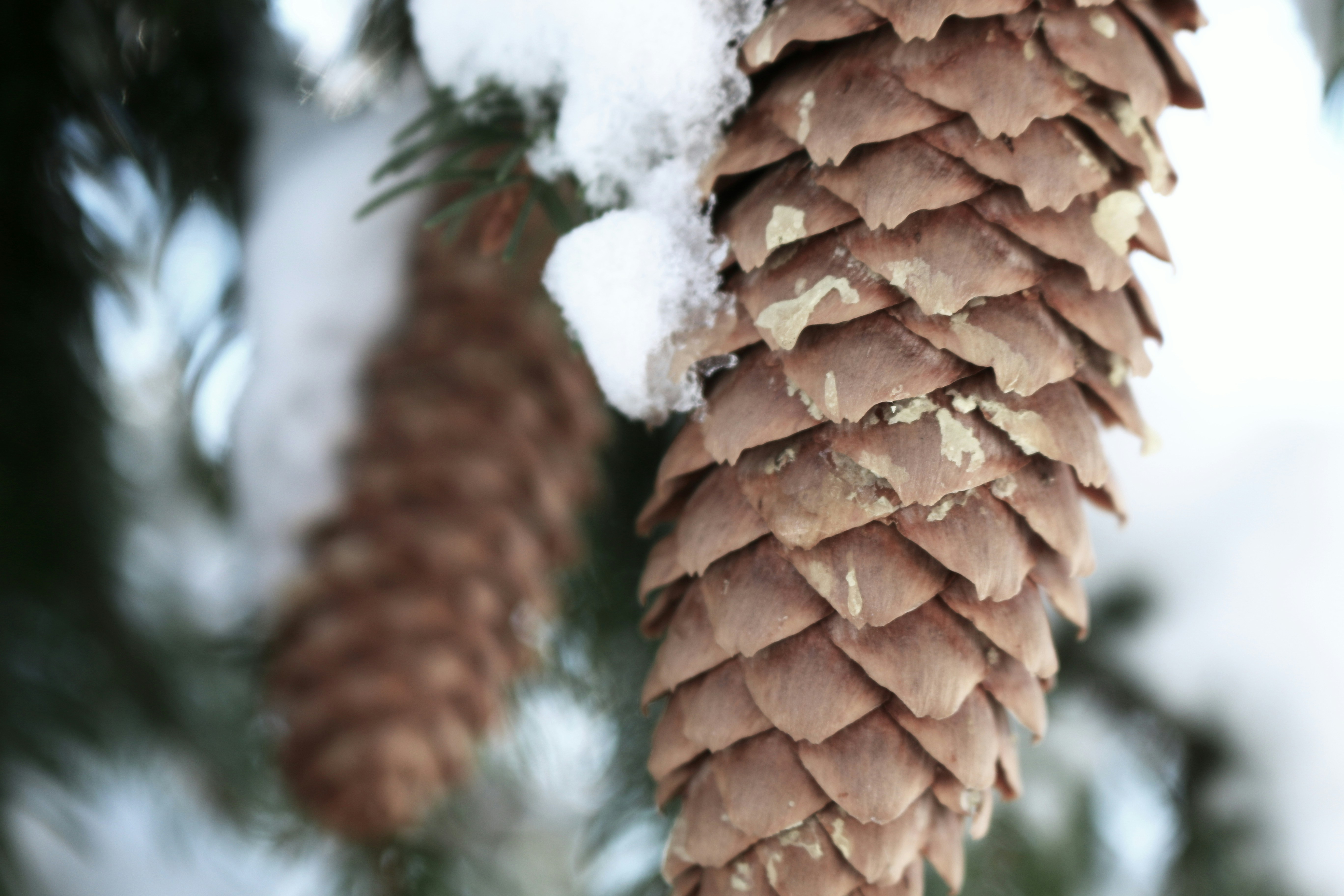 Photo by eldridgem007