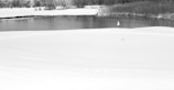 A snow-covered landscape surrounds a still body of water. Sparse trees and bushes are visible in the background, casting reflections on the water's surface. A lone golf flag stands erect amidst the snow, suggesting a buried golf course under the winter snow.