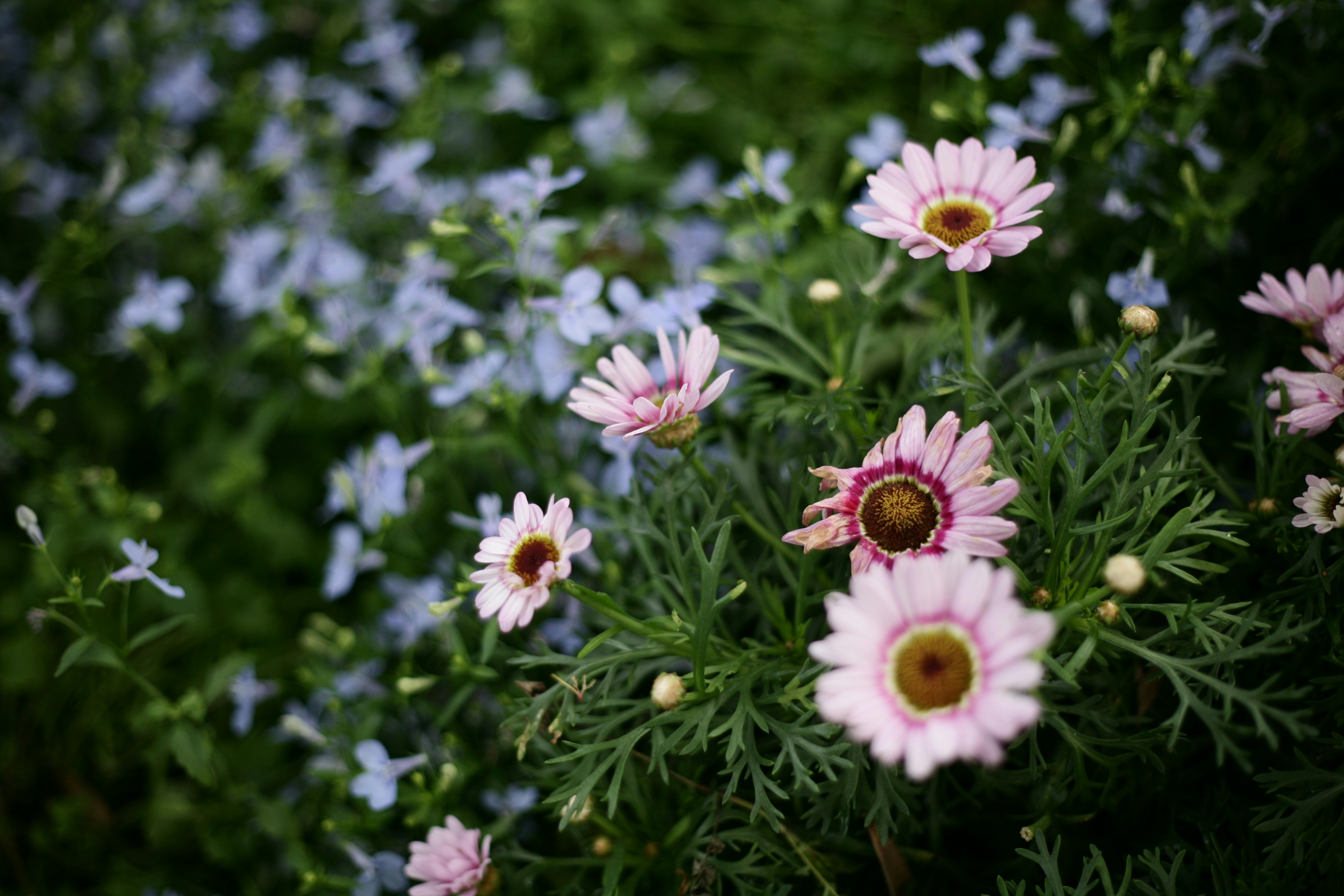 Photo by mclee