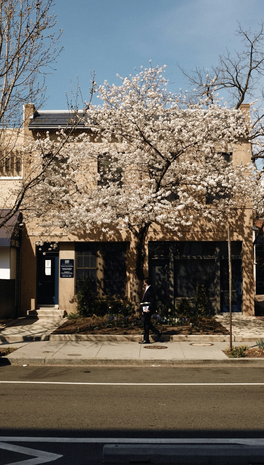 a person standing on a sidewalk in front of a building