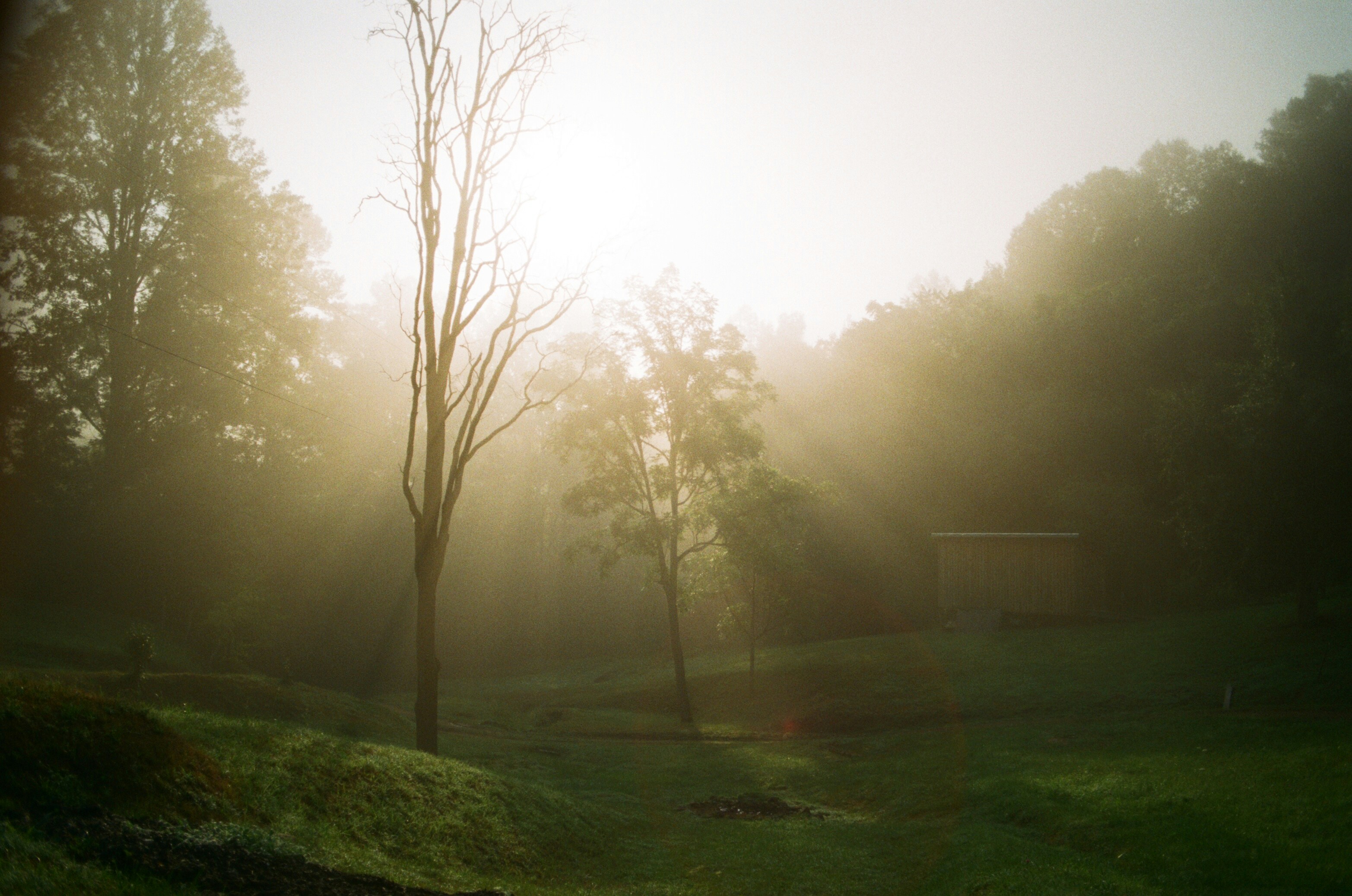 Photo by cstembridge