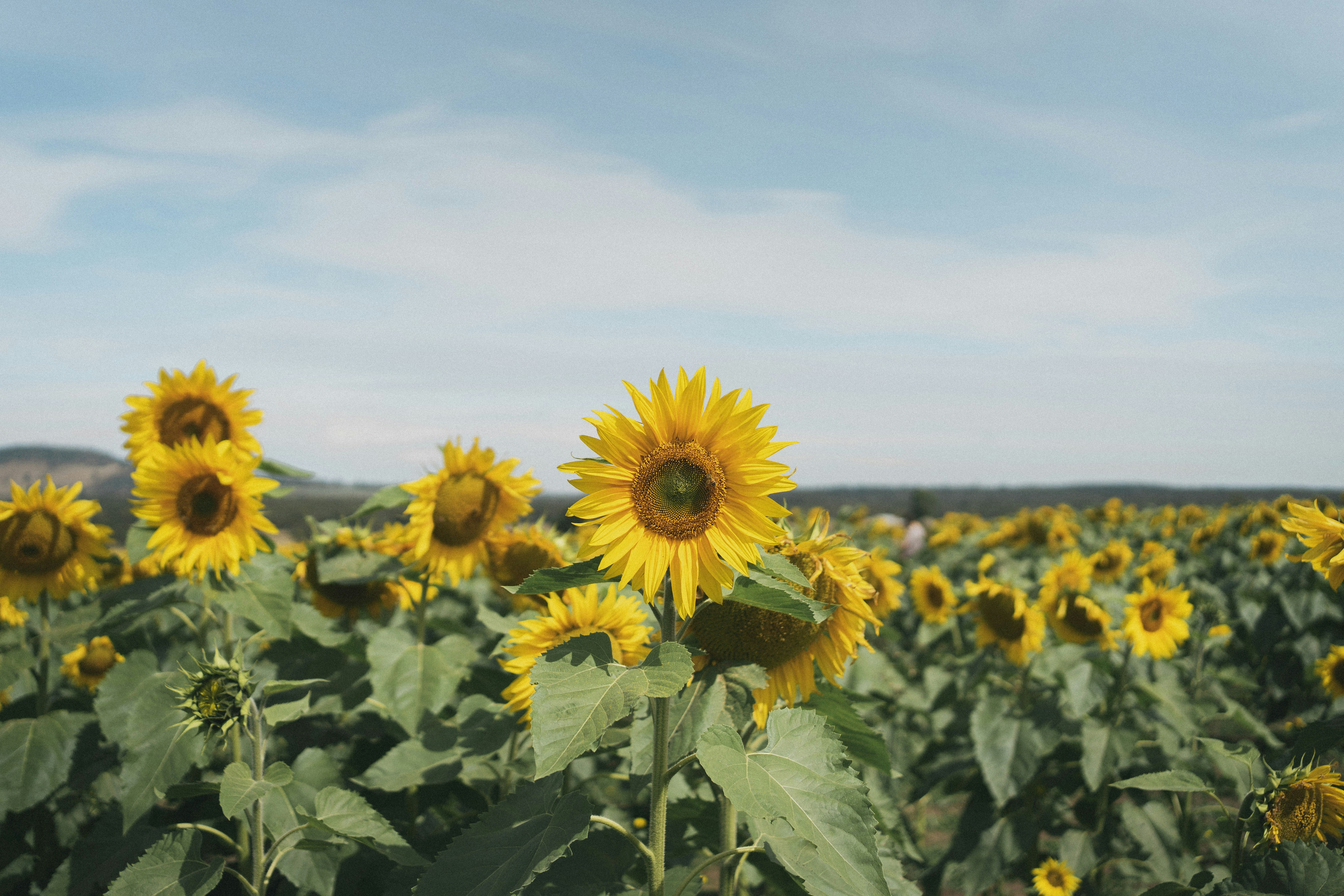 Photo by kenkuo_melb