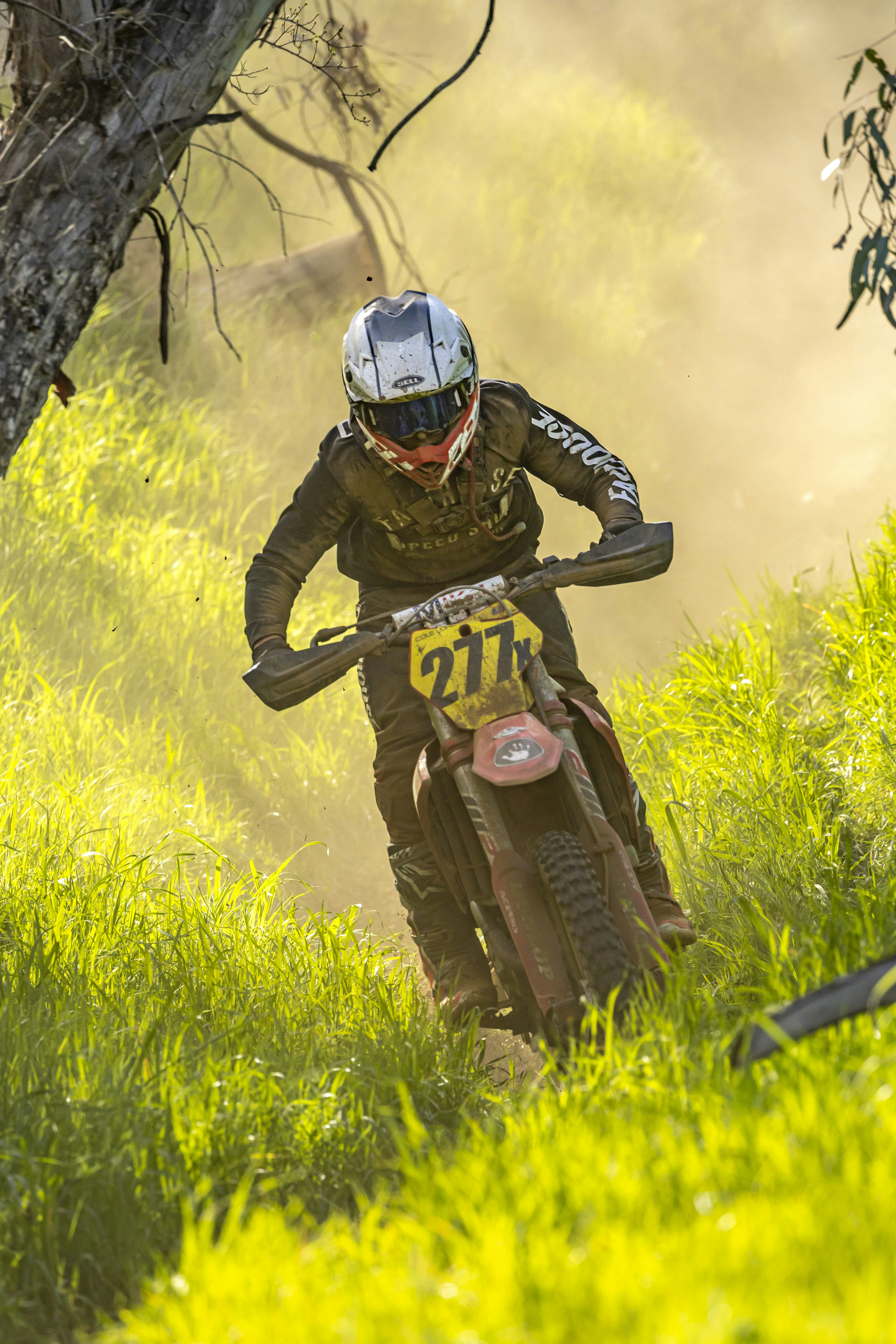 Photo by leo_visions_