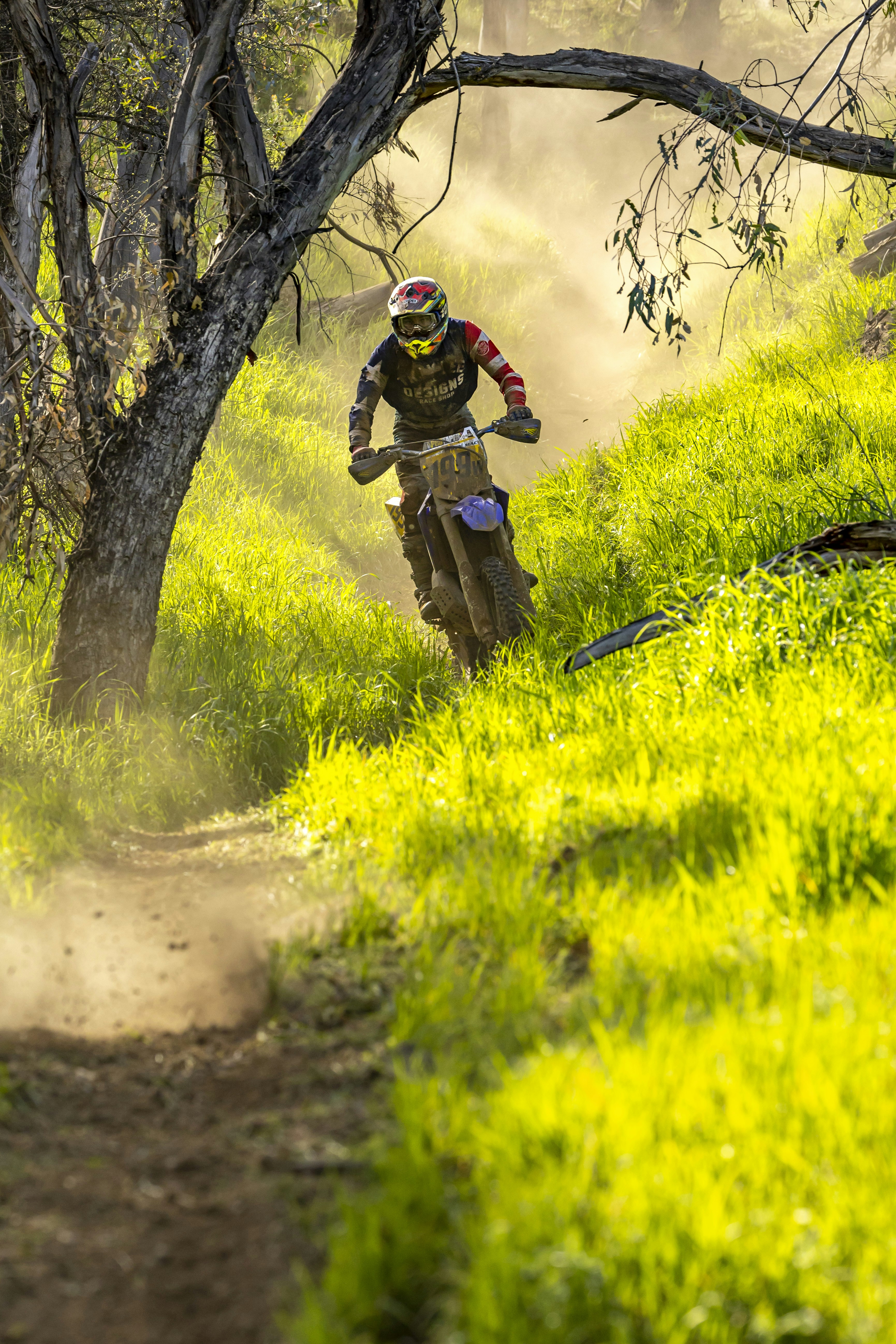 Photo by leo_visions_