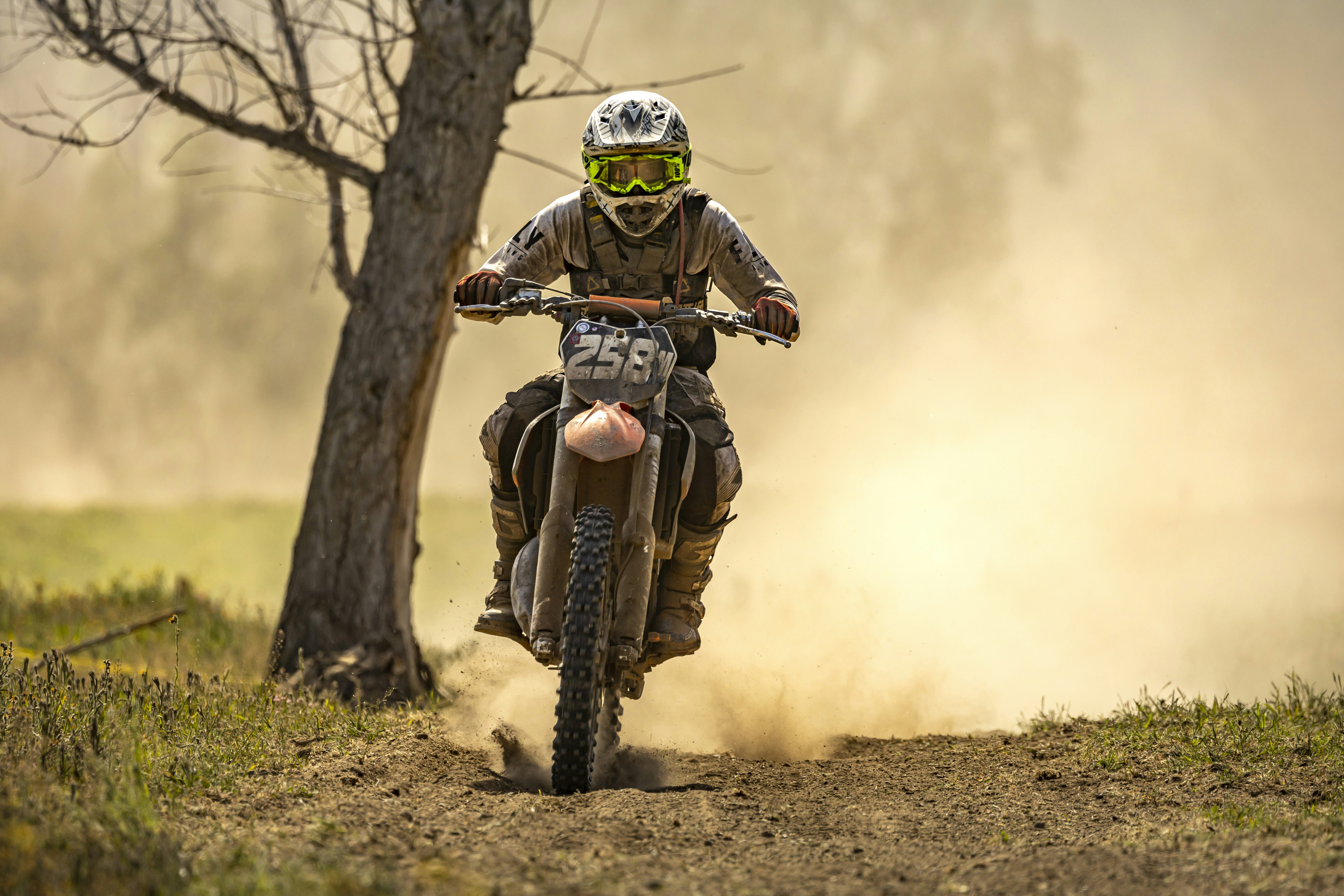 Photo by leo_visions_