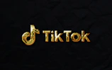 A dynamic TikTok video snapshot featuring lively and creative content.