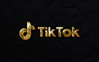 A dynamic TikTok video snapshot featuring lively and creative content.