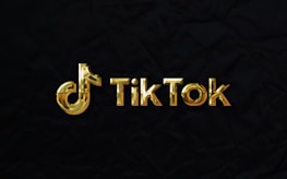 The image features a golden TikTok logo set against a dark, textured background.