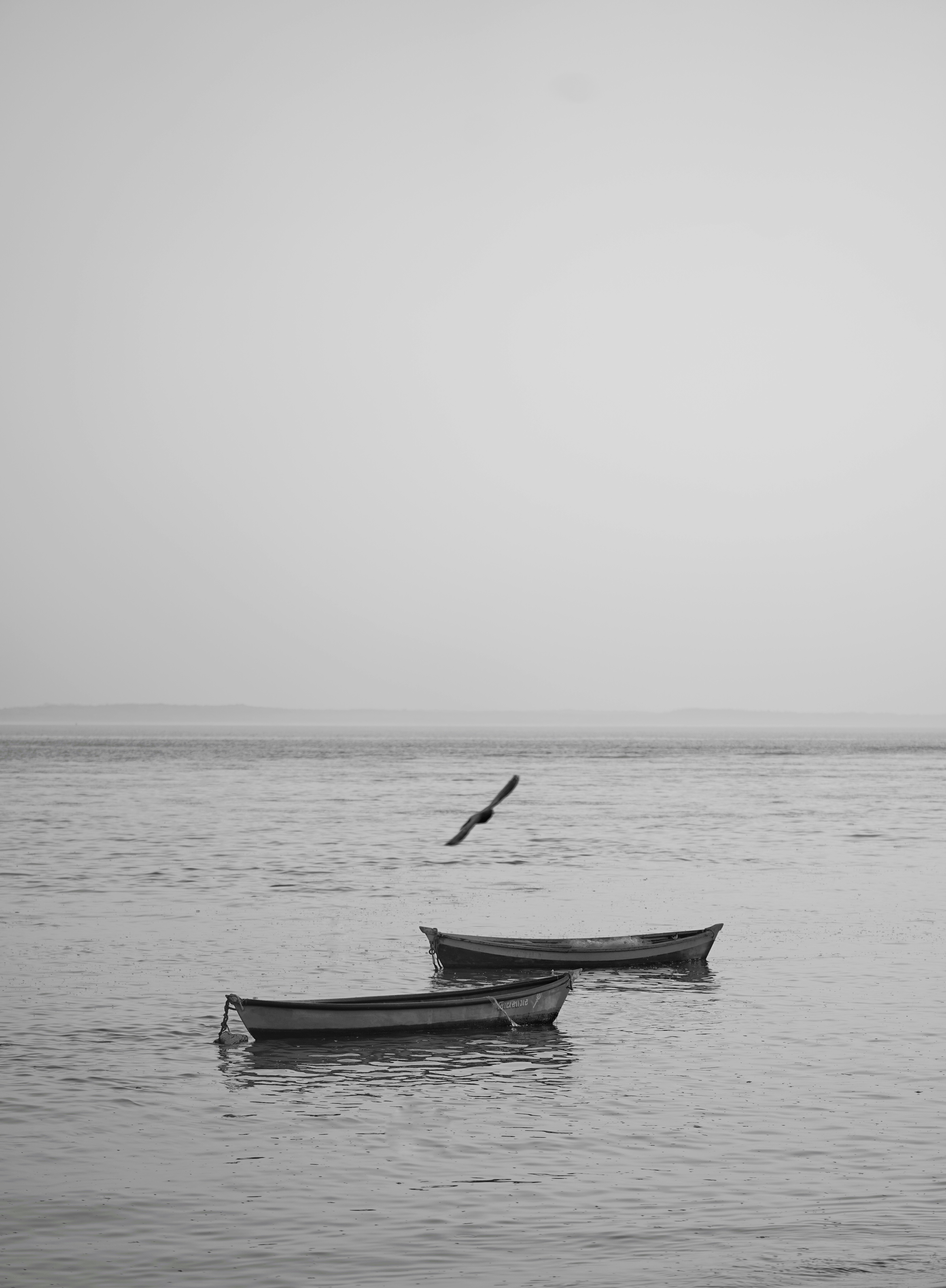 Photo by rushicumar3433