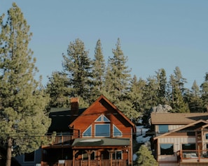 Exterior view of cabin surrounded by tall pine trees under blue sky.