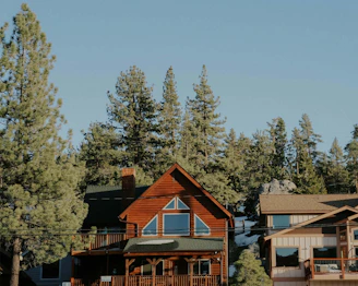 A cozy modular park home nestled among tall pine trees under a bright blue sky.