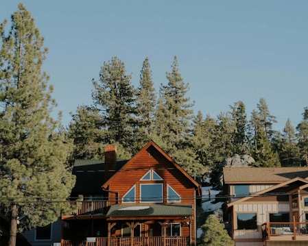 A wooden cabin with large windows sits among tall pine trees under a clear blue sky. The structure appears cozy and inviting, with a partially visible front porch and a chimney. Adjacent to the cabin are other residences, which seem more modern in design.