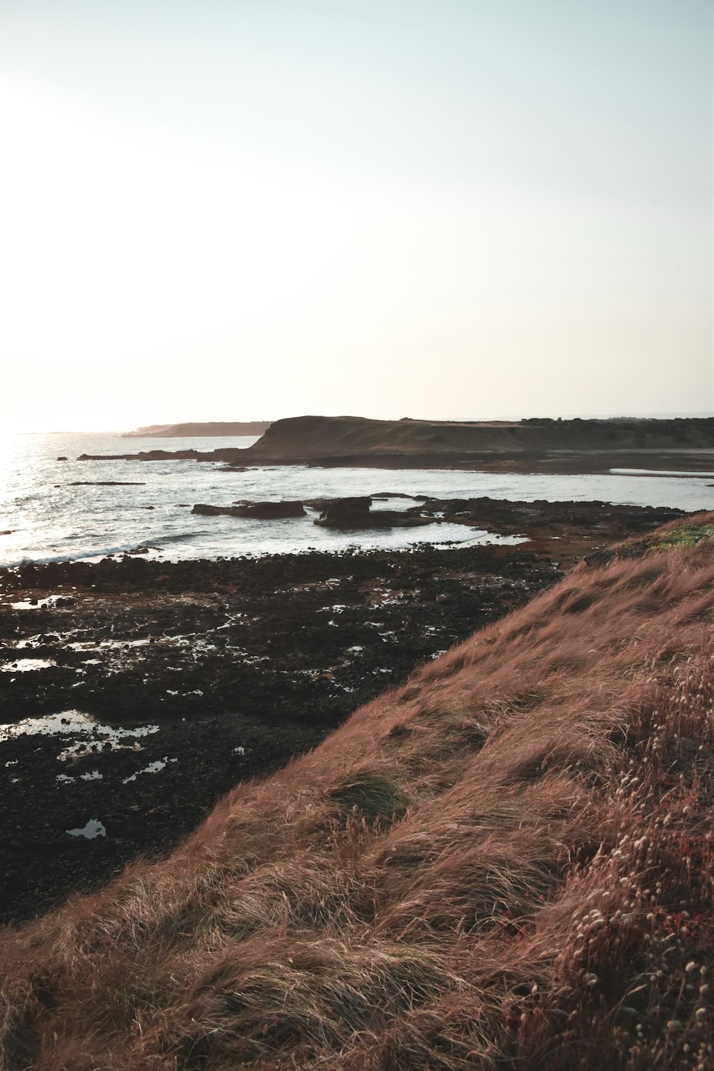 a grassy hill next to a body of water