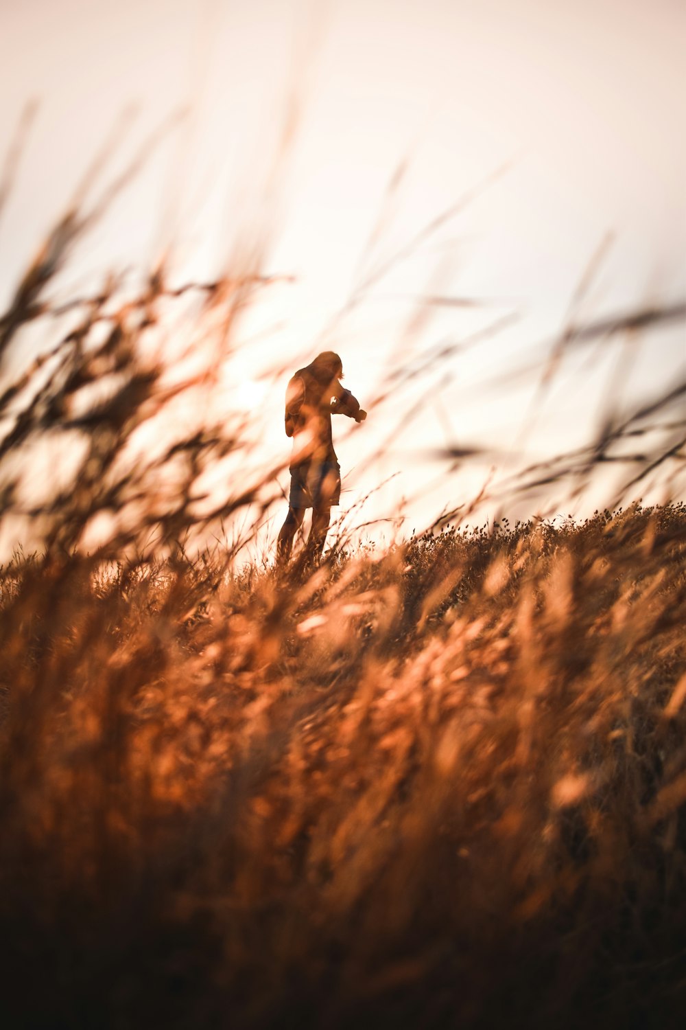 a person standing in a field with tall grass