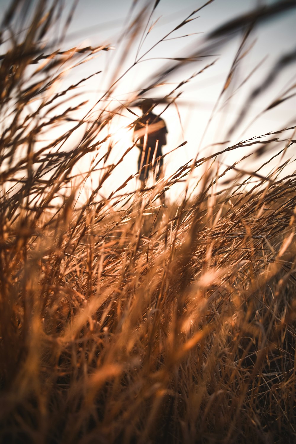 a person standing in a field of tall grass