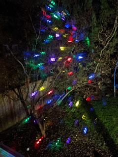 A vibrant mix of warm white and multi-color solar lights decorating a backyard flower bed at night.