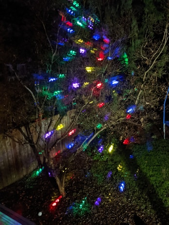 A vibrant mix of warm white and multi-color solar lights decorating a backyard flower bed at night.