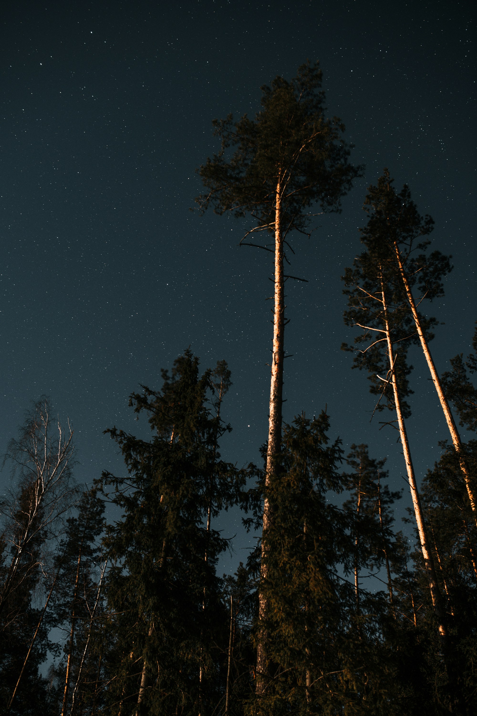 Photo by vadimsadovski