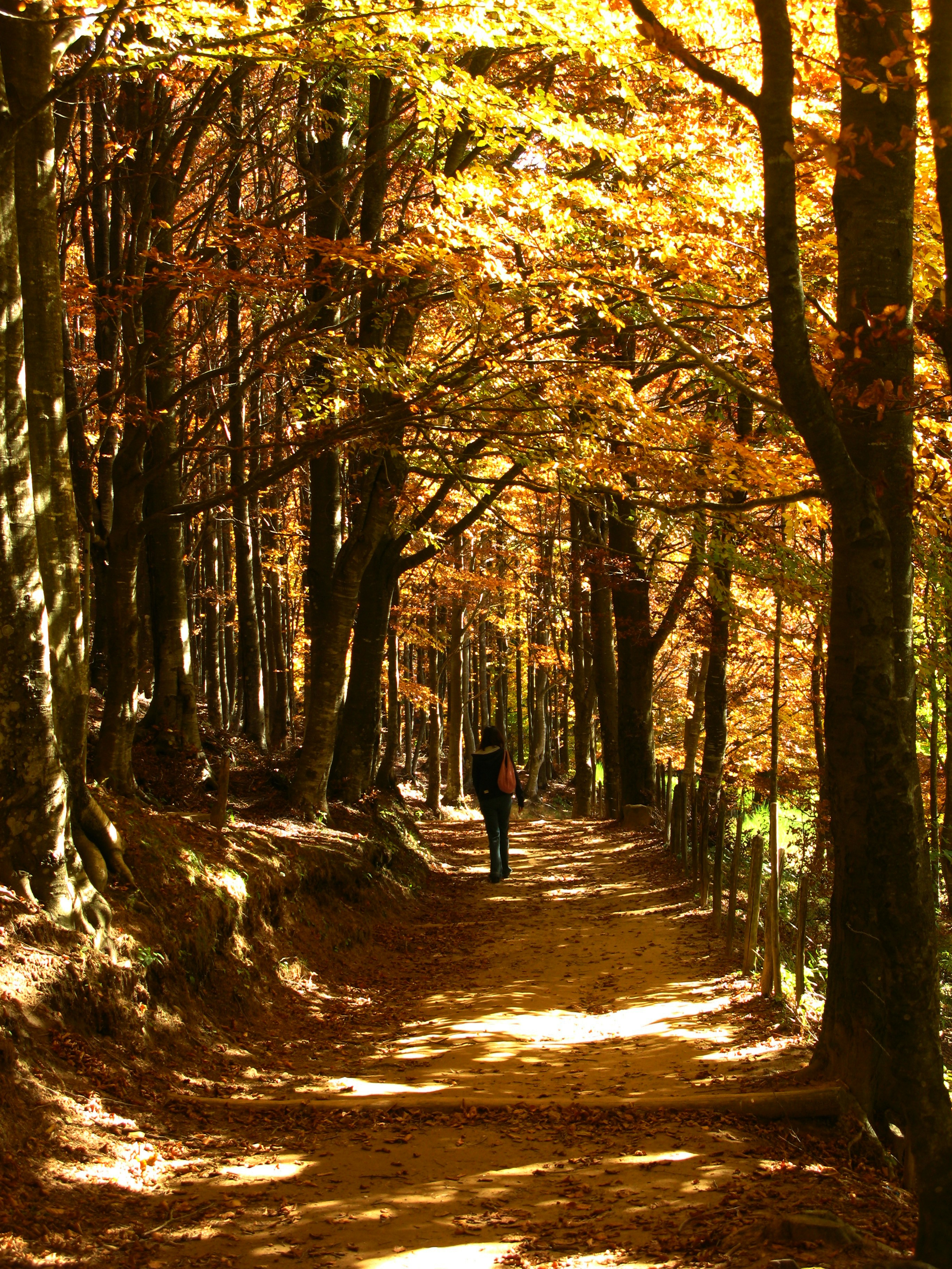 Photo by francesco_ungaro