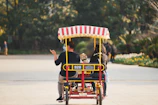 Elderly couple happily riding electric tricycles along a park path.
