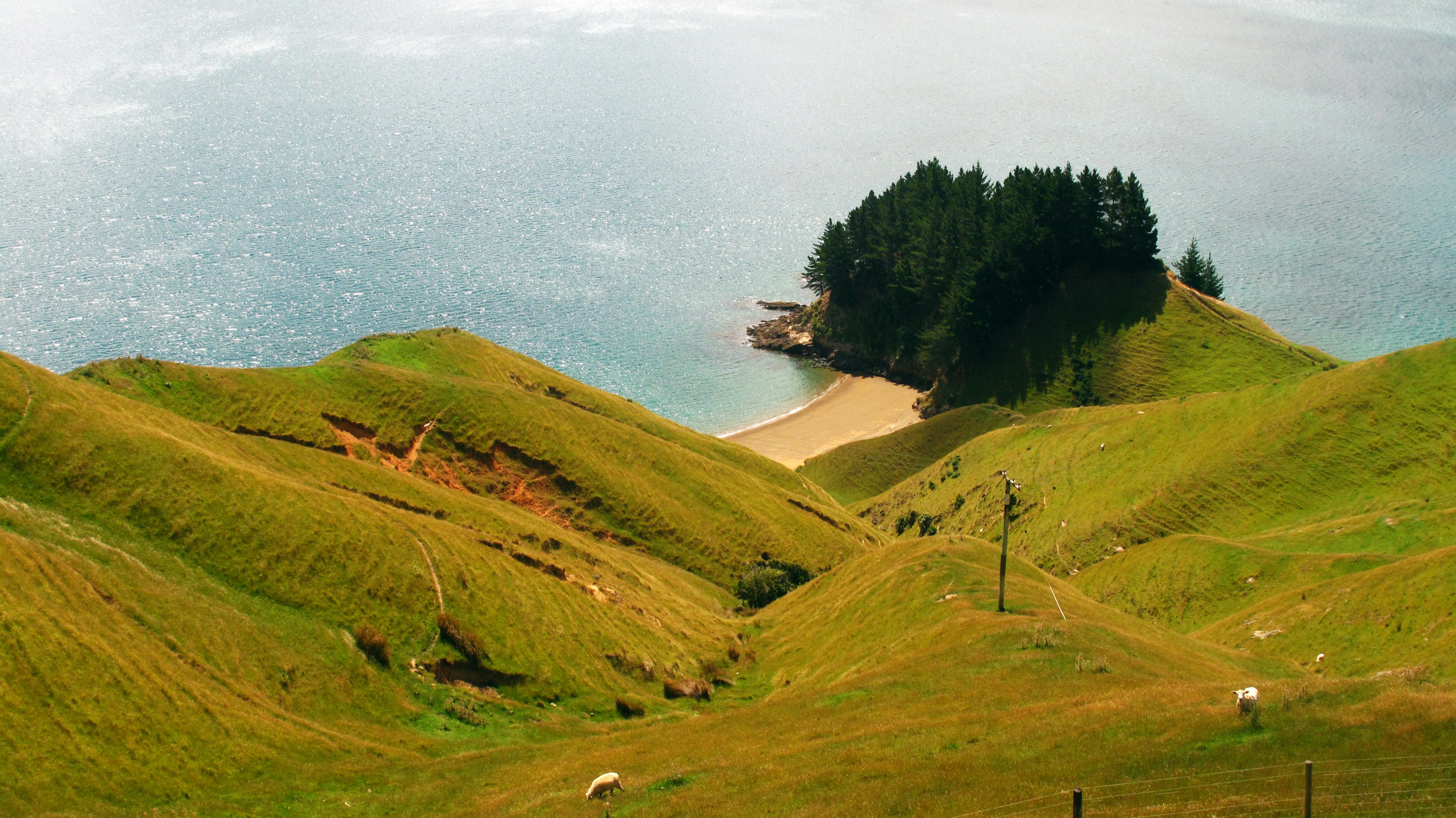 a grassy hill with a body of water in the background