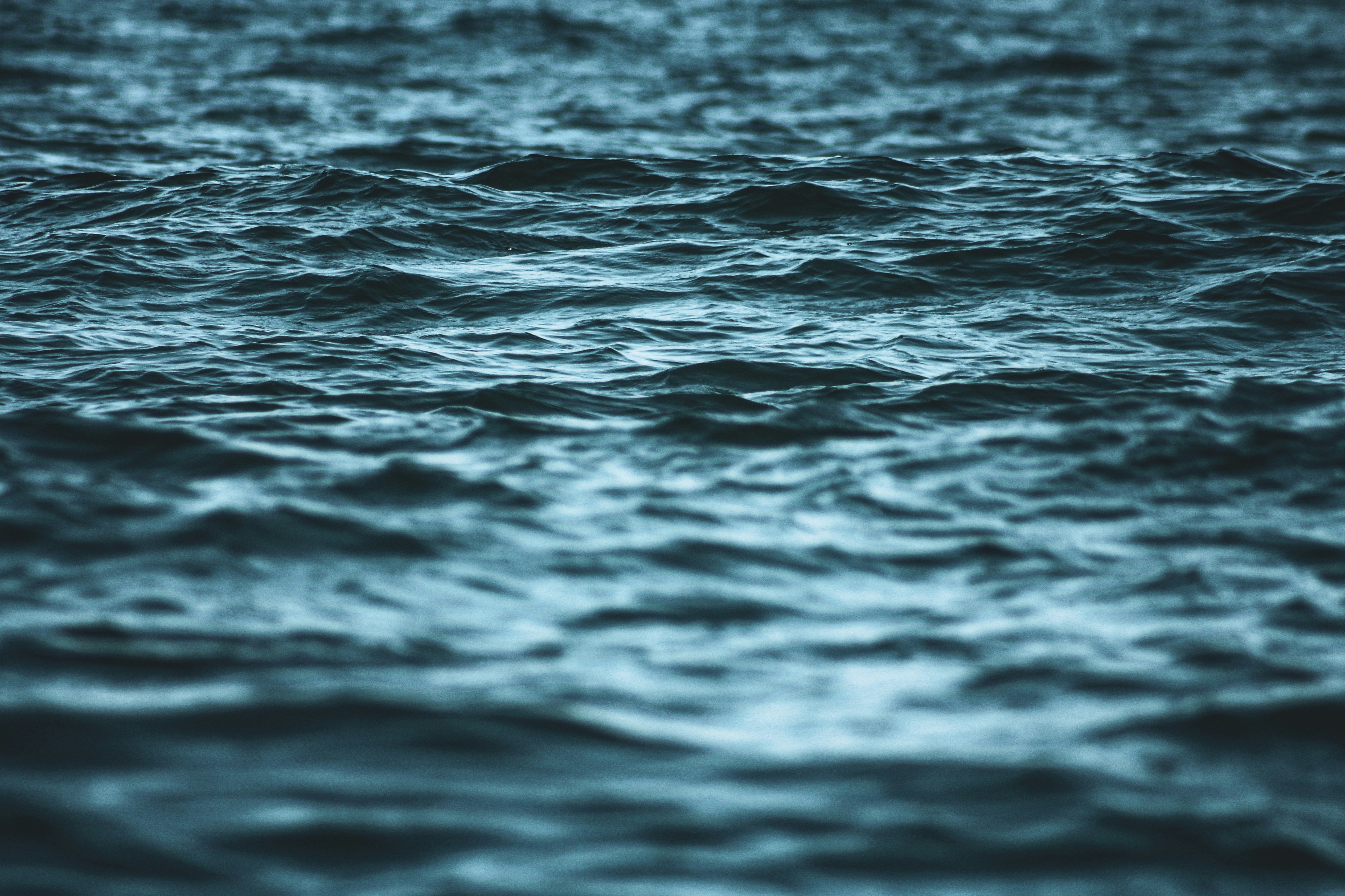 Photo by secondsight