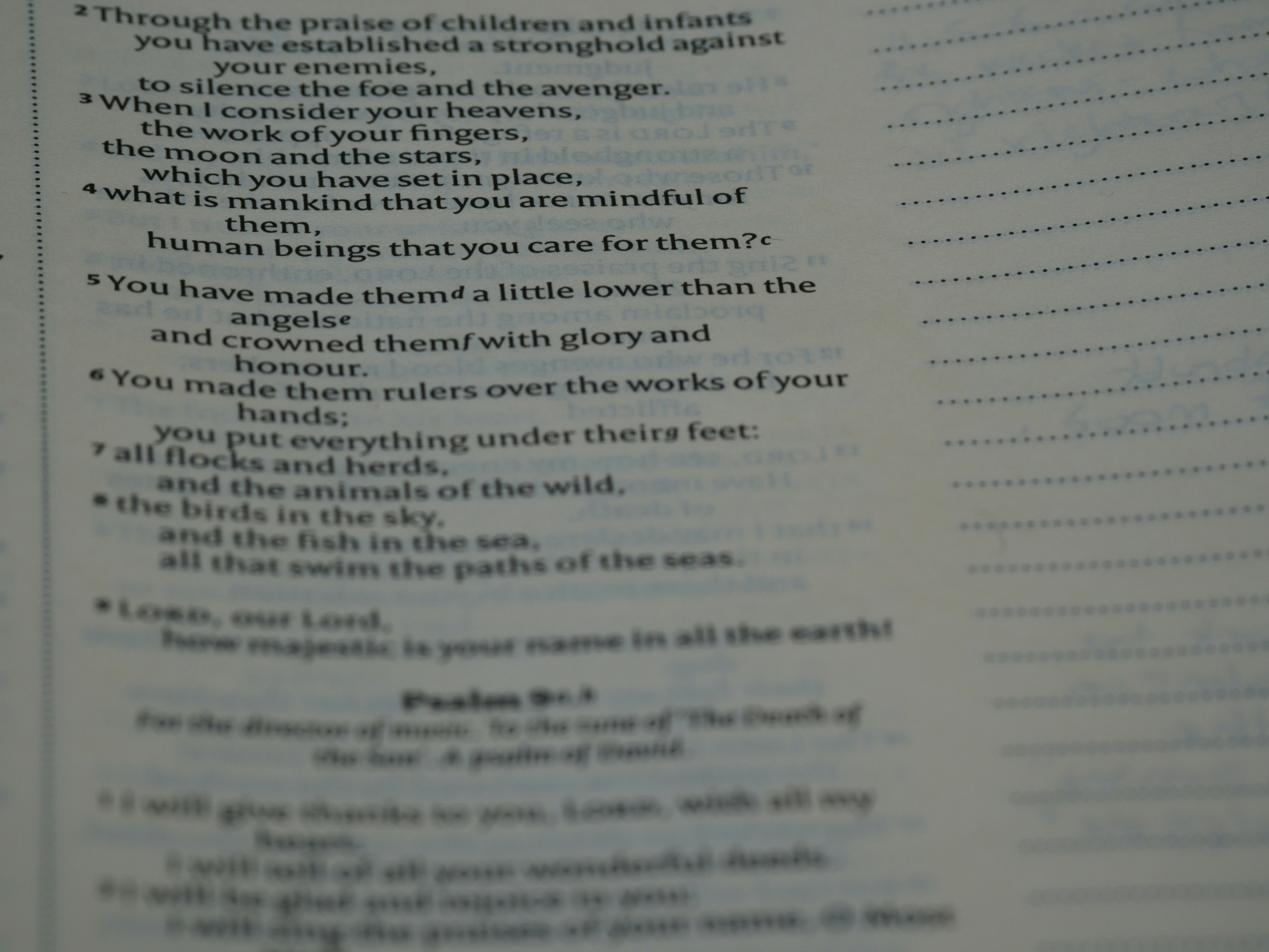 Photo by brett_jordan