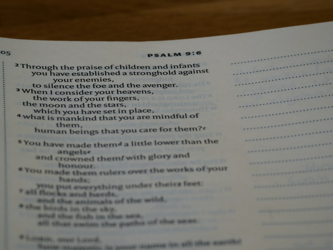 close up, bokeh, macro, blur, blurred background, close focus, bible, old testament, hebrew bible, christian, judaism, history, text, reading, bible study, devotions, text, NIV, New International Version, type, typography, canon, christianity, holy scripture, holy bible, scripture, old testament, hebrew bible, תְּהִלִּים, psalms, psalter, ketuvim, writings, tanakh, king david, 
