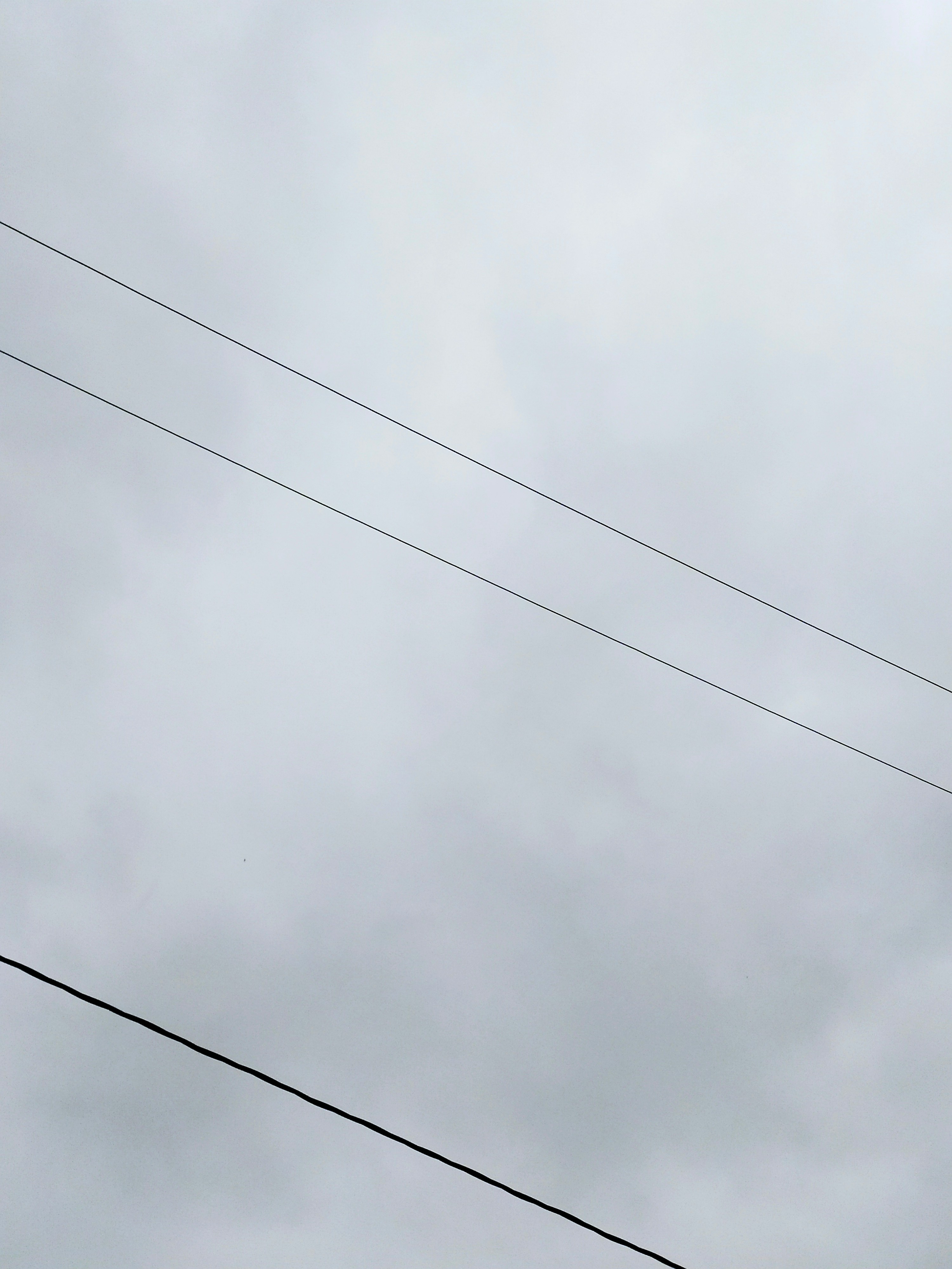 photo-1648026806409-6b726fbe1d63?ixid=M3wxMjA3fDB8MXxzZWFyY2h8MjB8fGJhbGl6YSUyMHYxNiUyMGNvbmVjdGFkYXxlbnwwfHx8fDE3NjgzODI5MzN8MA\u0026ixlib=rb-4.1.0