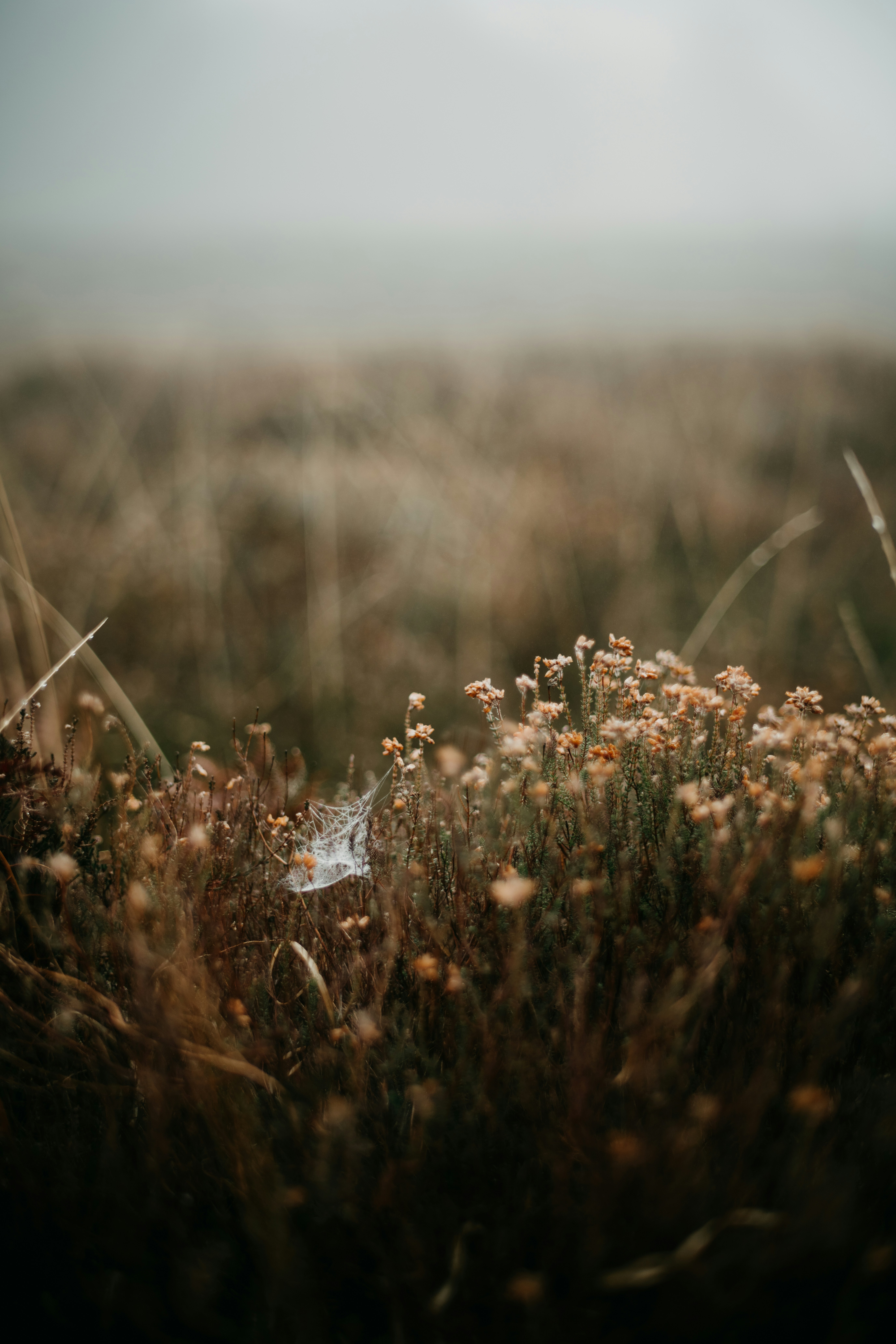 Photo by anniespratt