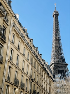 the eiffel tower towering over the city of paris